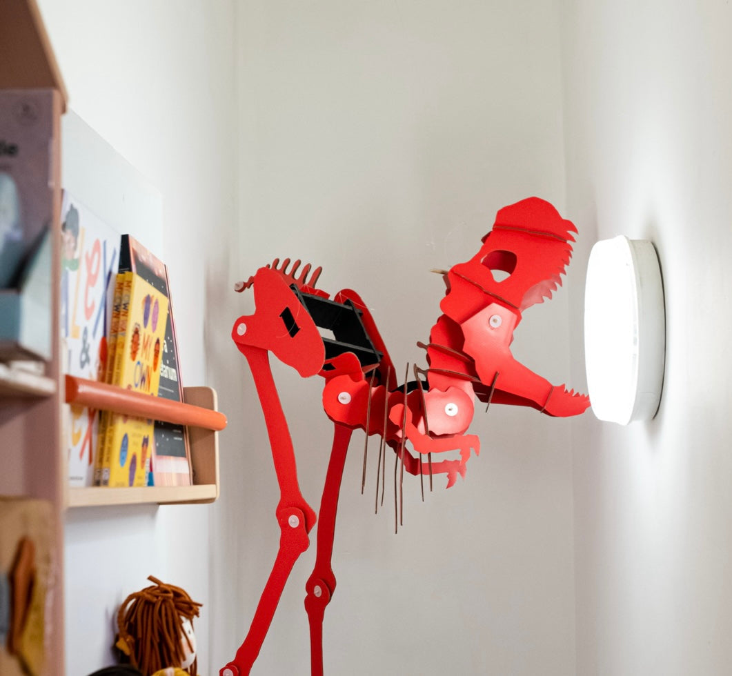 For The Little Paleontologist