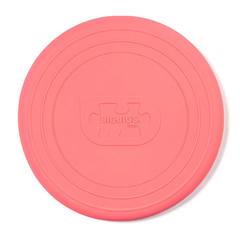 Silicone Flexible Foldable Flyers