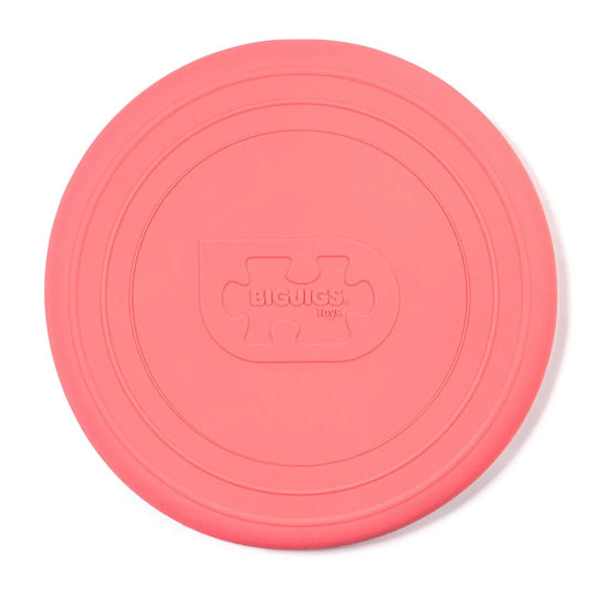Silicone Flexible Foldable Flyers