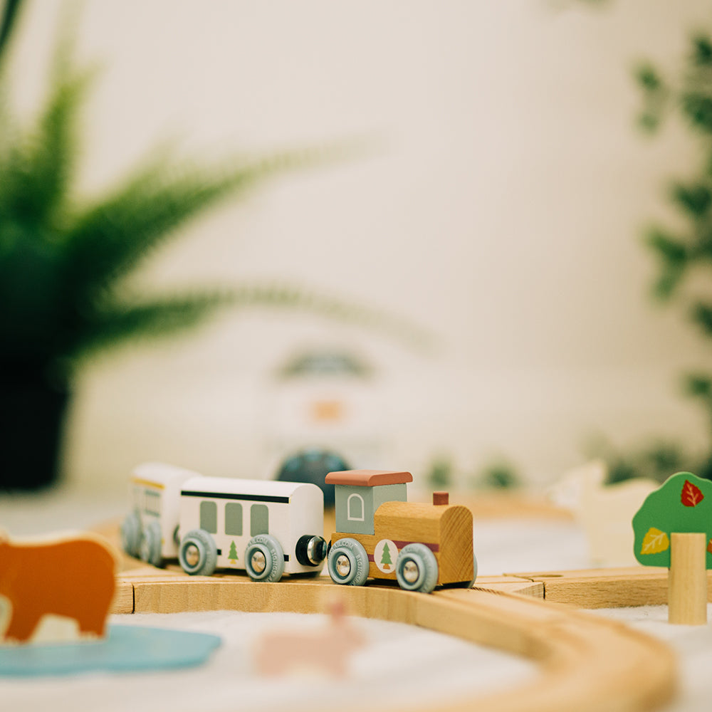 Woodland Animal Wood Train Set