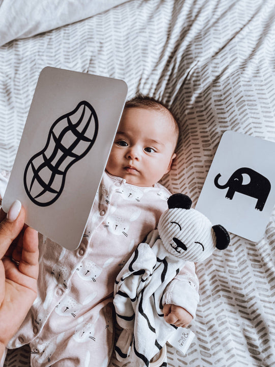 Baby Sensory Flash Cards | Black & White