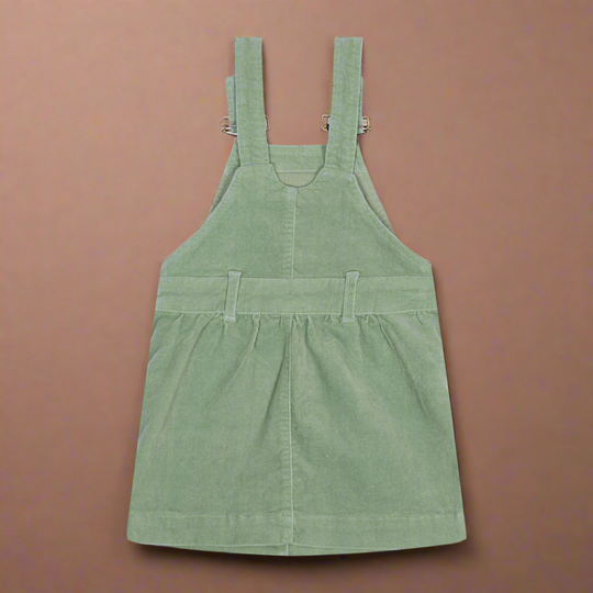 Reverse of sage green corduroy dress
