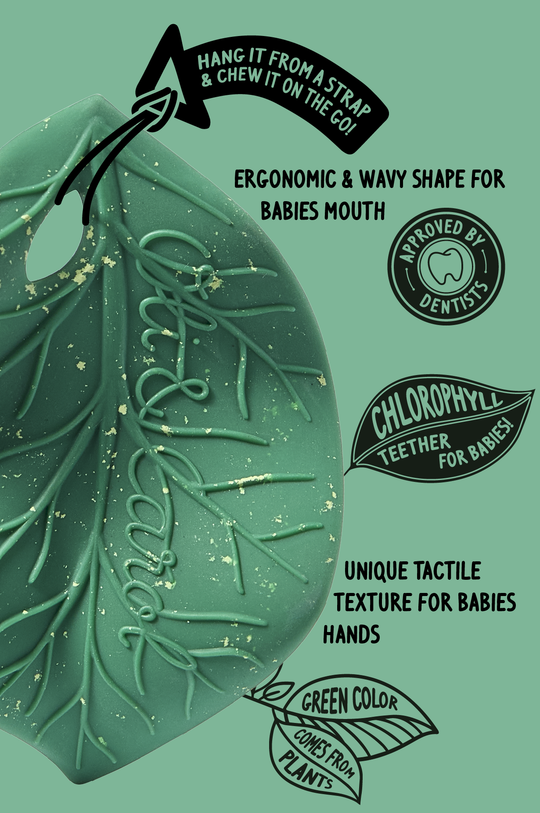 Natural Rubber Teether | Chlorophyll Leaf