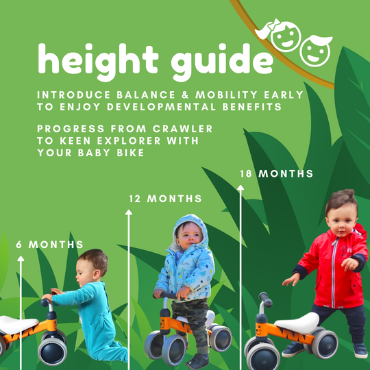 Height guide for a baby bike showing progression from 6 to 18 months with illustrations of a child and tricycle.