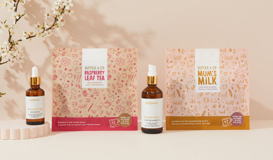 Pregnancy to Breastfeeding Transition Support Bundle