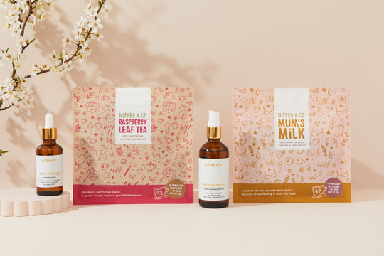 Pregnancy to Breastfeeding Transition Support Bundle