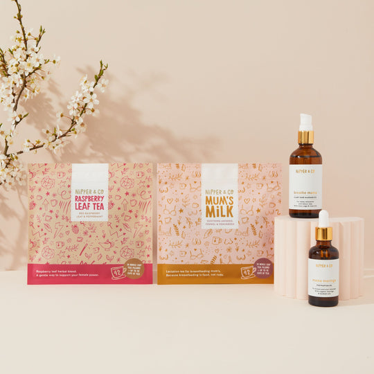 Pregnancy to Breastfeeding Transition Support Bundle