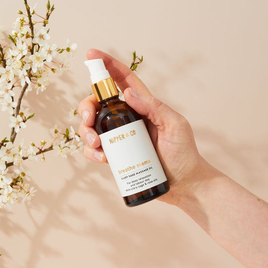 Pregnancy to Breastfeeding Transition Support Bundle