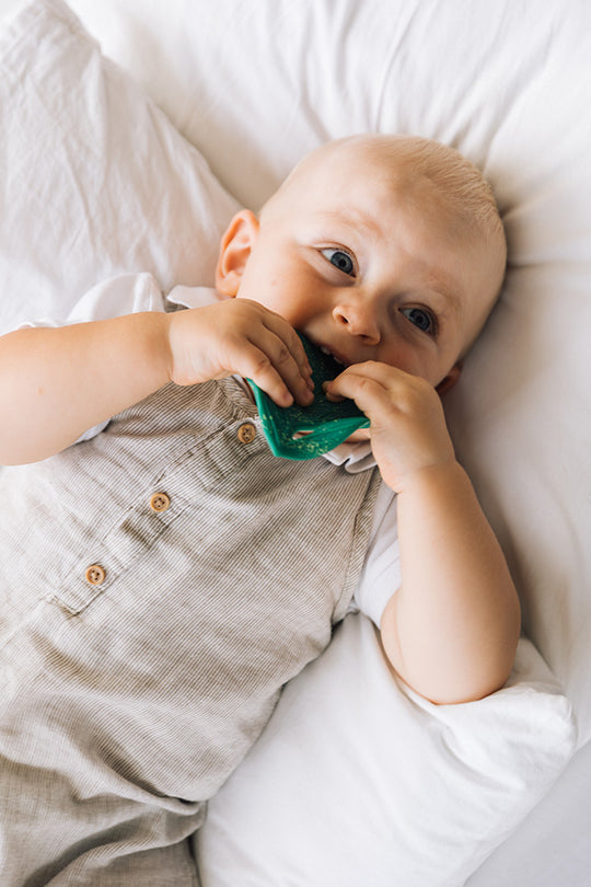 Natural Rubber Teether | Chlorophyll Leaf