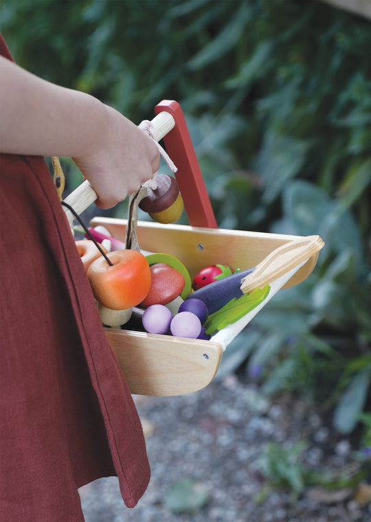 Child holding a wooden basket with toy fruits and vegetables outdoors.