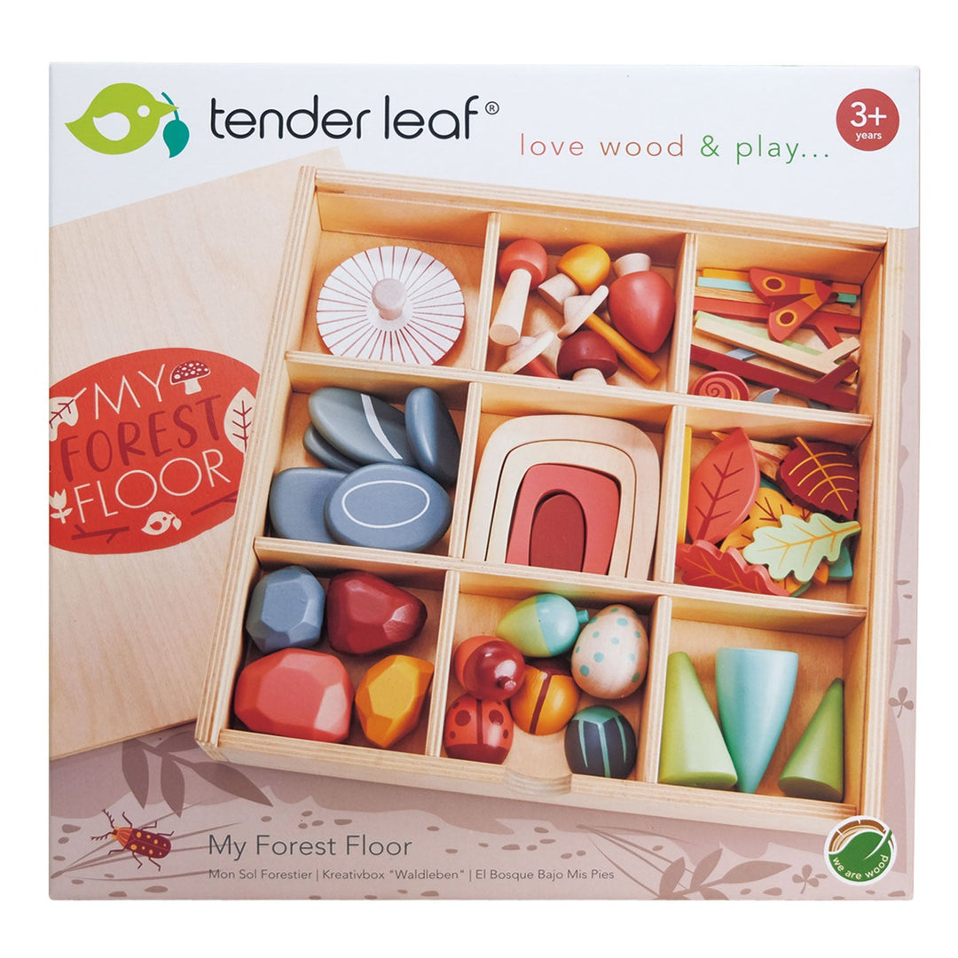 Tender Leaf wooden toy set packaging with various colourful wooden pieces.