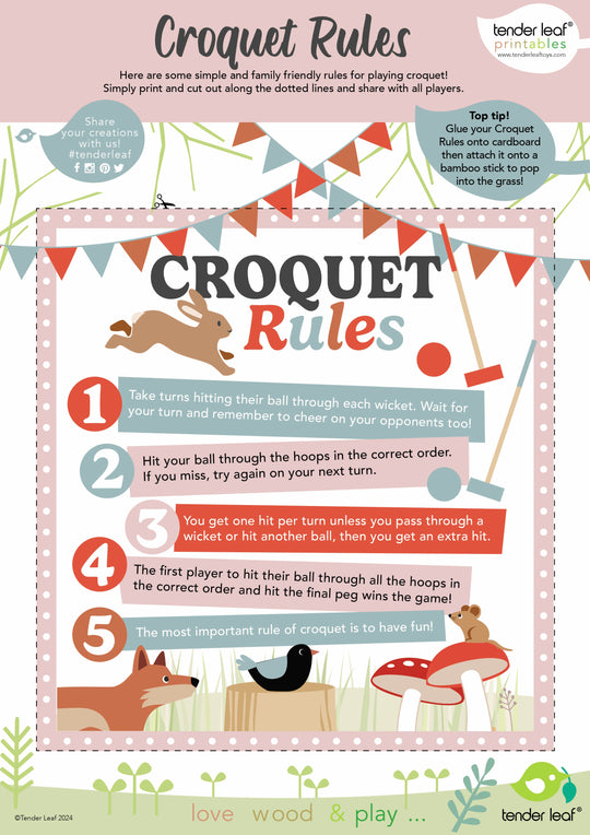 Croquet rules poster with cartoon animals and colorful design