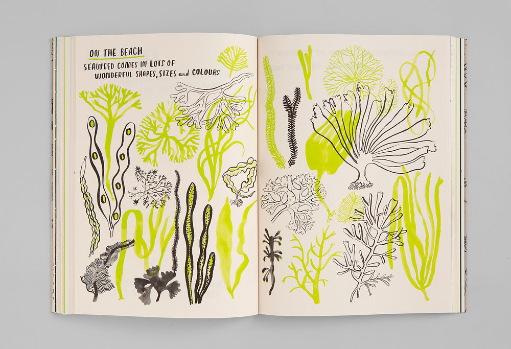 Hello Nature Activity Book