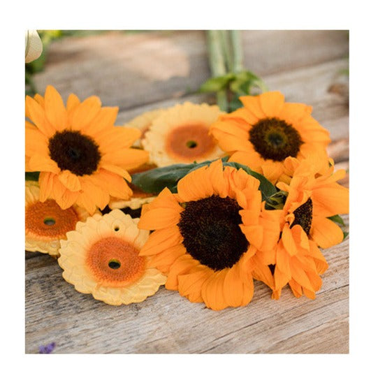 Natural Rubber Teether | Sun the Sunflower