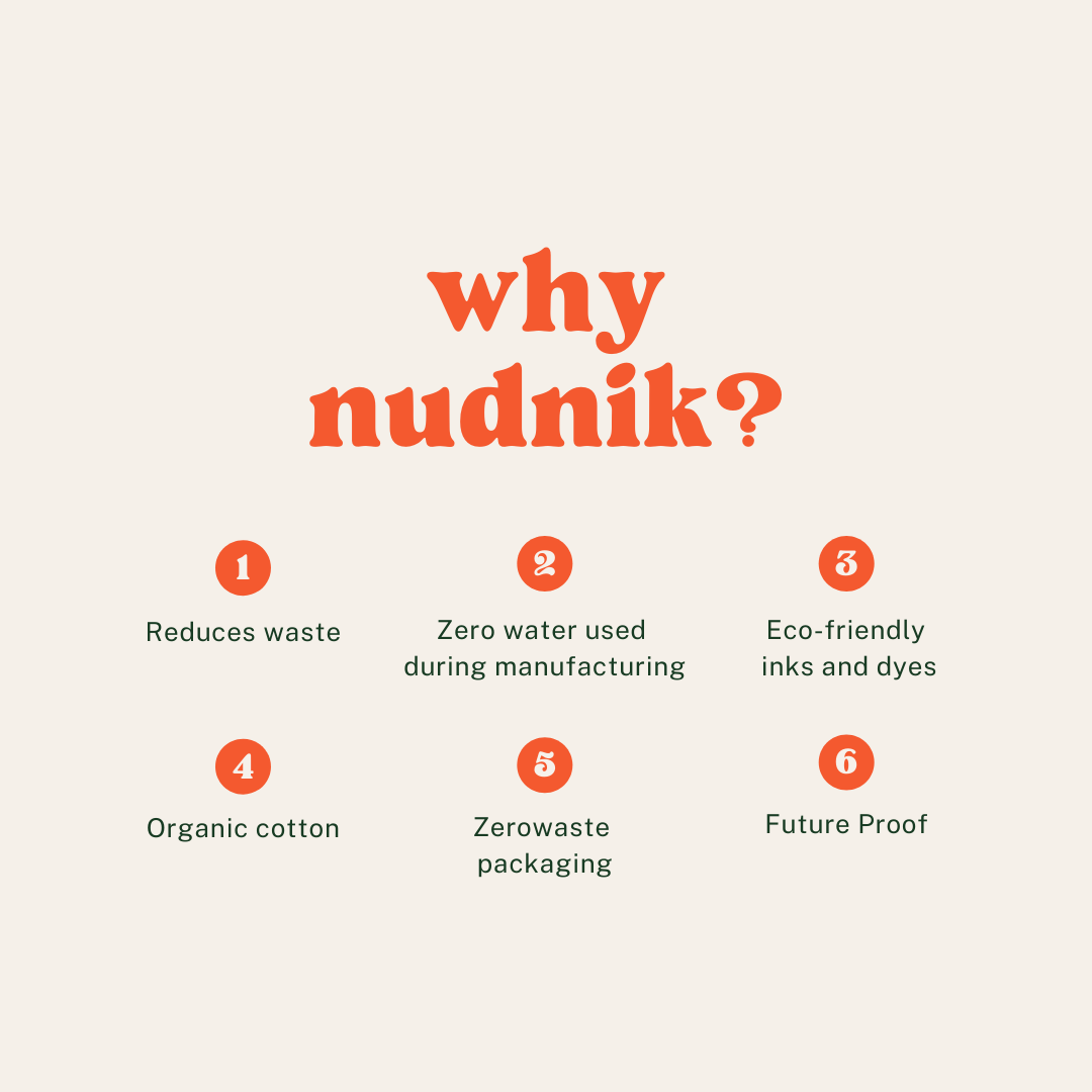 Why Nudnik?