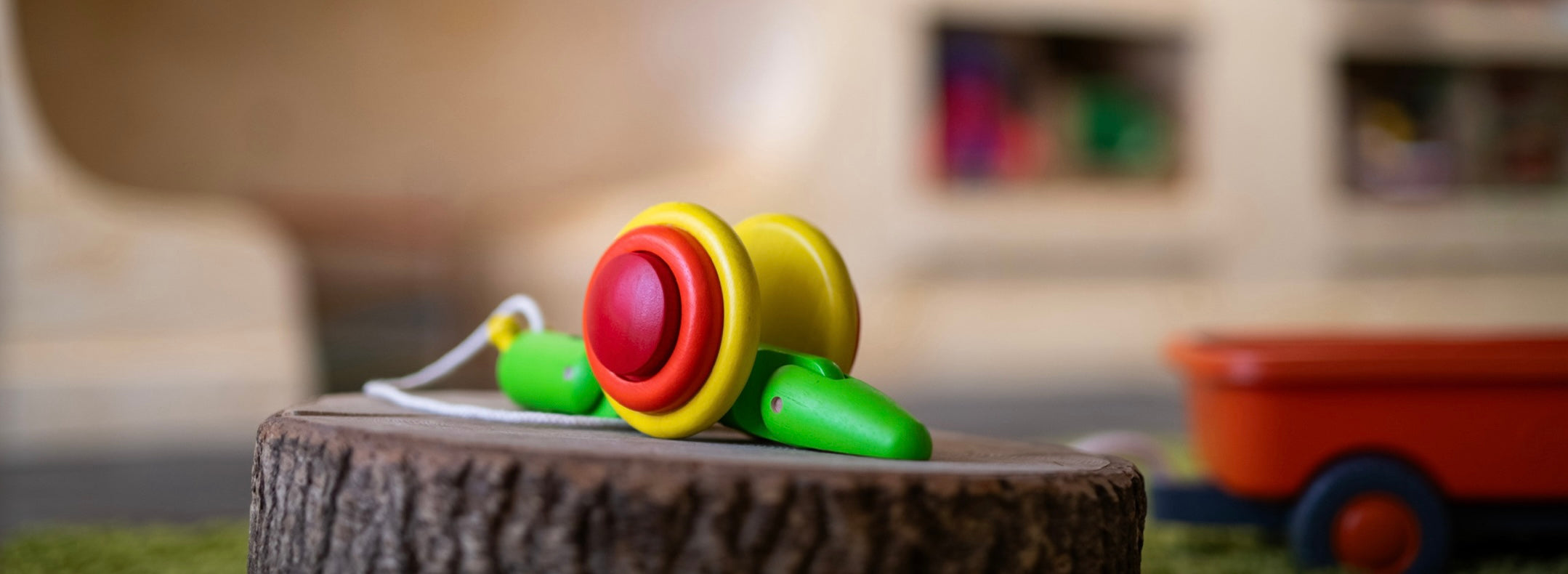 Push-Along & Pull-Along Toys