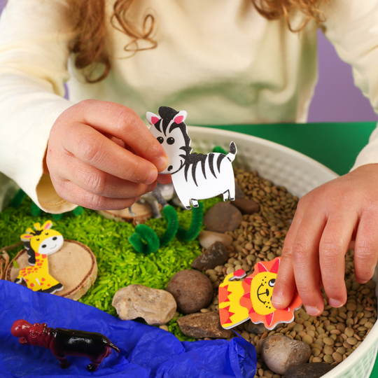 Safari Activity Kit