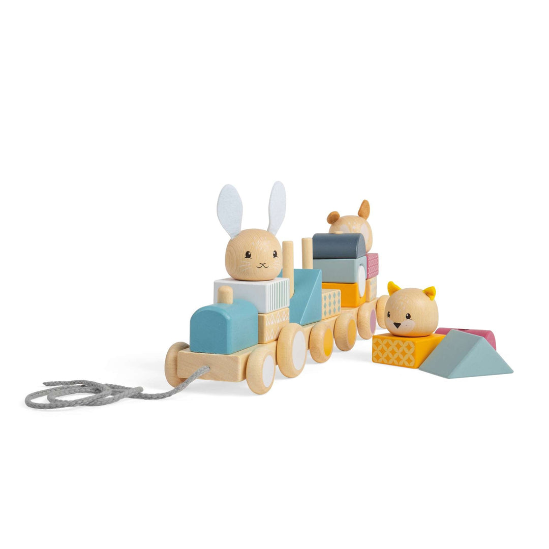 Activity Pull Along Train
