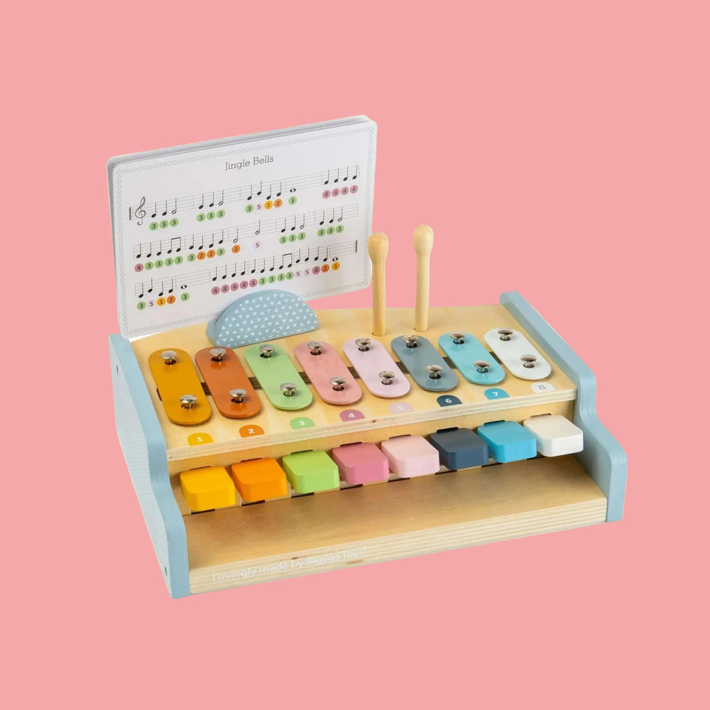 Xylophone and Piano - Multifunctional 2-in-1 Musical Toy