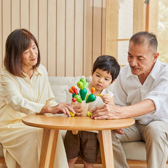 Plan Toys | Balancing Cactus