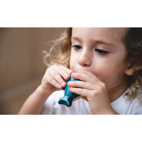 Plan Toys | Whale Whistle