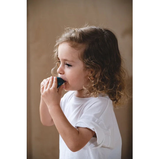 Plan Toys | Whale Whistle