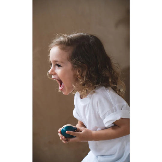 Plan Toys | Whale Whistle
