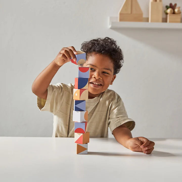 PlanToys Geo Pattern Cubes