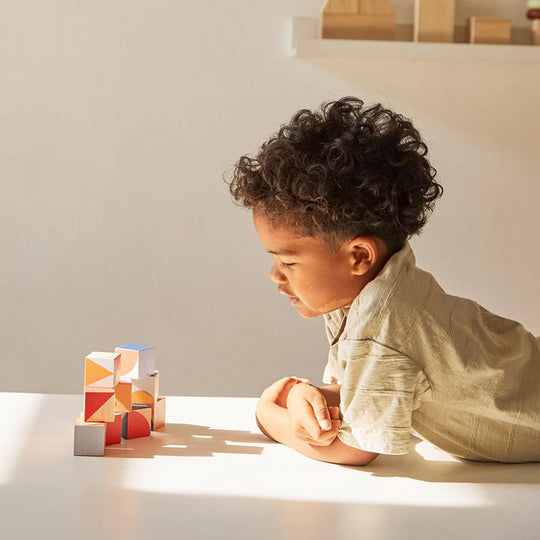 PlanToys Geo Pattern Cubes
