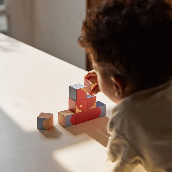 PlanToys Geo Pattern Cubes