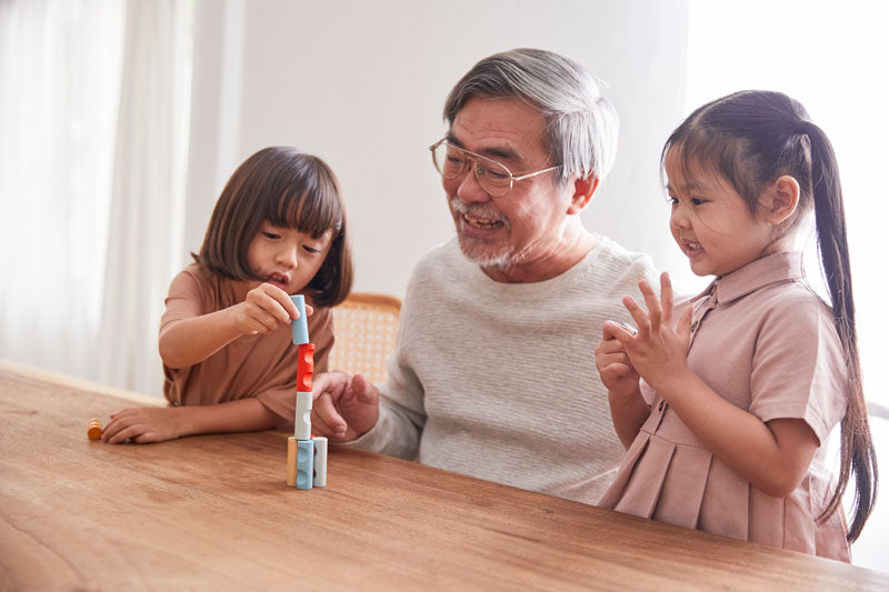 Plan Toys | Rectangular Puzzle