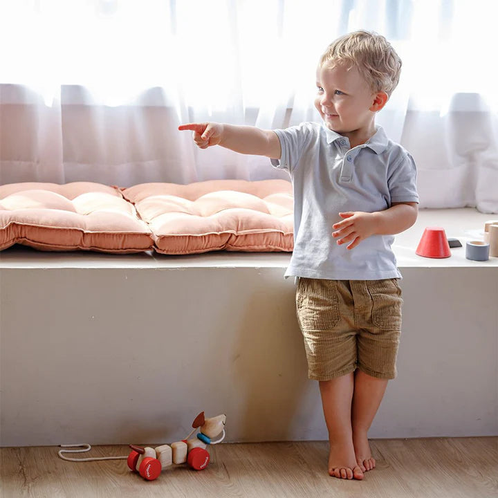 Plan Toys | Pull-Along Happy Puppy