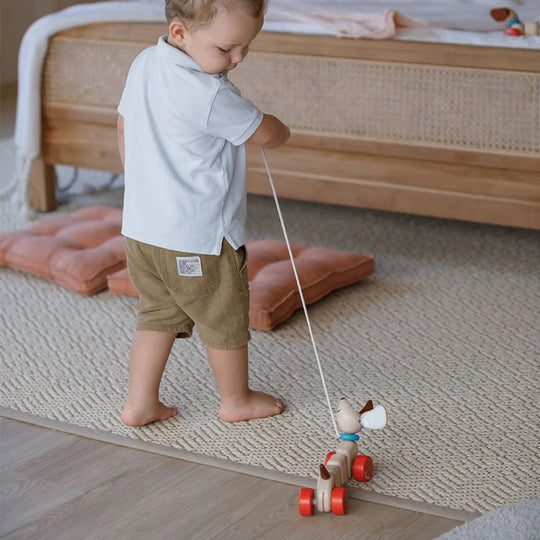 Plan Toys | Pull-Along Happy Puppy