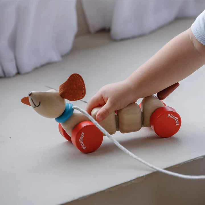 Plan Toys | Pull-Along Happy Puppy