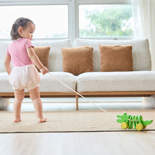 PlanToys Dancing Alligator