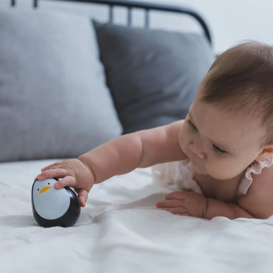 PlanToys Penguin Baby Wobbler