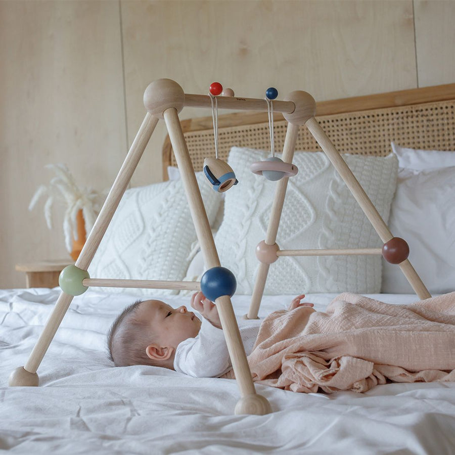PlanToys Baby Gym (Orchard)