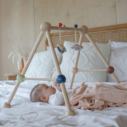 PlanToys Baby Gym (Orchard)