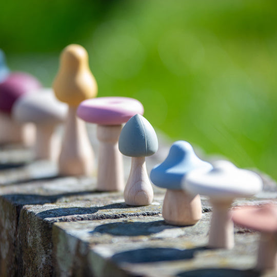 SiliSoft® Woodland Mushroom Set (Earth)