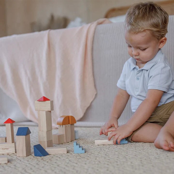 PlanToys Wooden Creative Building Blocks (Orchard Collection)