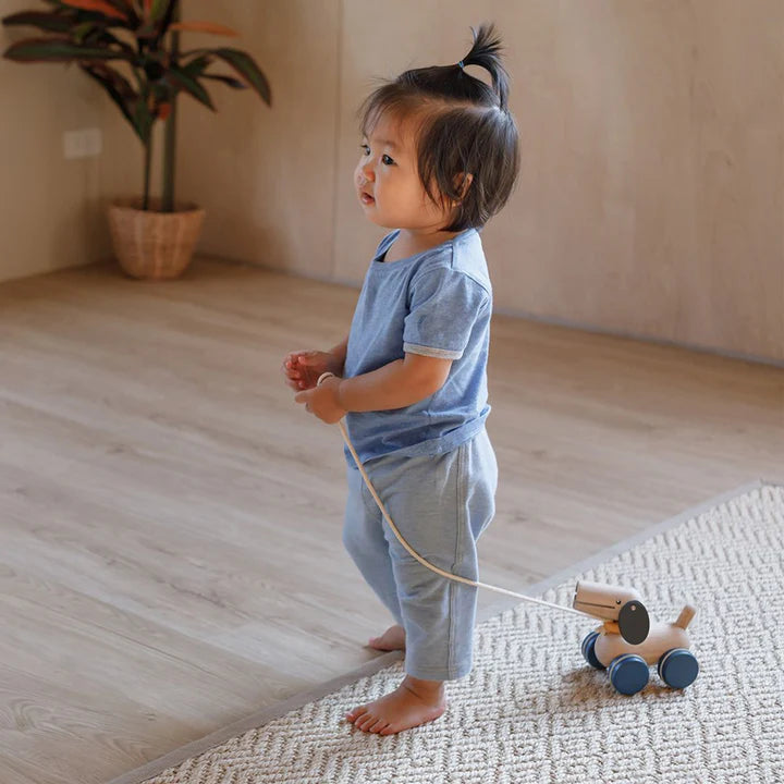 PlanToys Push & Pull Puppy