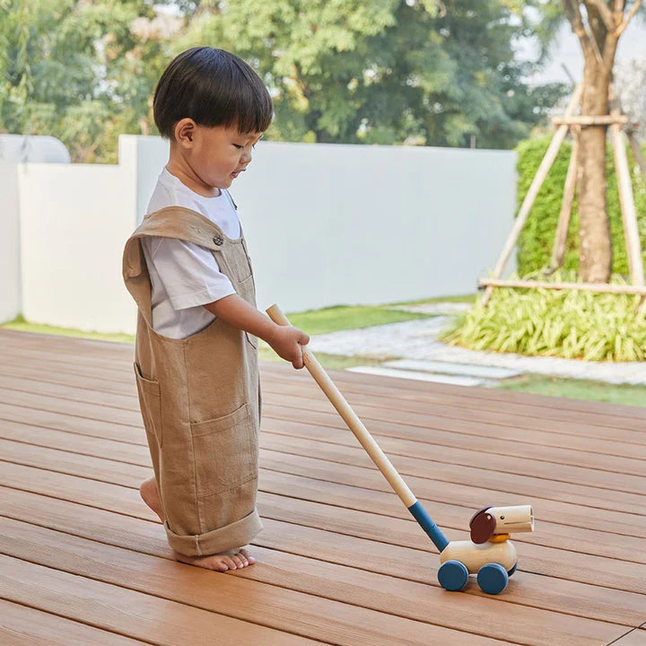 PlanToys Push & Pull Puppy