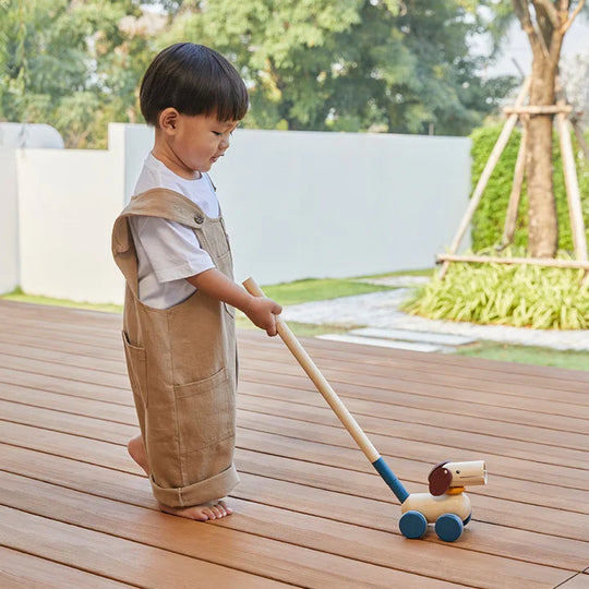 PlanToys Push & Pull Puppy