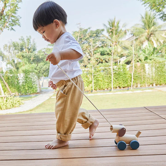 PlanToys Push & Pull Puppy