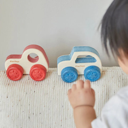 PlanToys Timber Trail EV