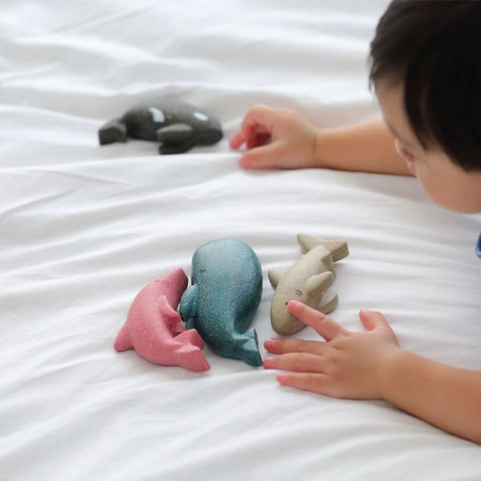 PlanToys Sea Life Set