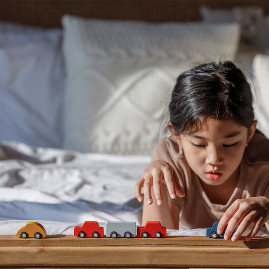 PlanToys Mini Cars Set