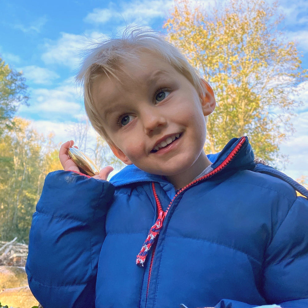 Sensory Steel Sound Buttons