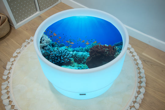 Discovery Sea Sensory Light Bundle