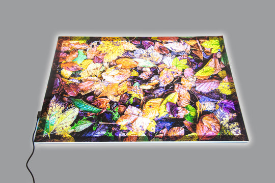 A2 Light Panel & Autumn Leaves Play Mat